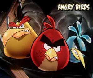 пазл Другие три птицы от видеоигр Сердитые птицы, Angry Birds